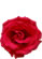 abbarrubia logo.jpg